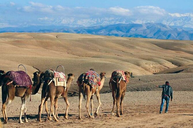 Quad Biking & Camel Ride in Agafay Desert with Dinner Show - Quad Biking in Agafay: Fun speed, guided for safety