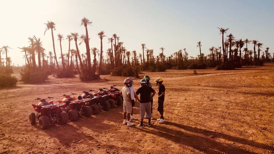 Quad biking in Marrakech's desert palm grove - Price and what you really get for $22