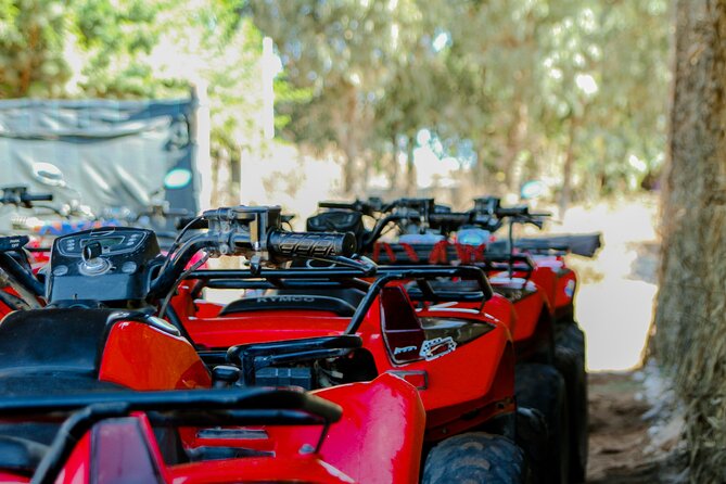 Quad Biking on the Beach and Forest Dunes with Pickup from Agadir - Lamzar Desert Dunes Is Where the Skills Show Up
