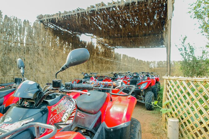 Quad Biking on the Beach and Forest Dunes with Pickup from Agadir - Price and Value: Why $38.34 Is Competitive Here