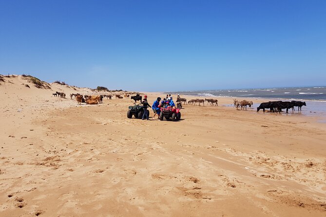 Quad day with south Essaouira meal 6h(free transfer) - What to Bring for a Comfortable, Dust-Managed Day