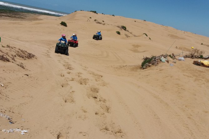 Quad day with south Essaouira meal 6h(free transfer) - Price and What You Actually Get for $137.05