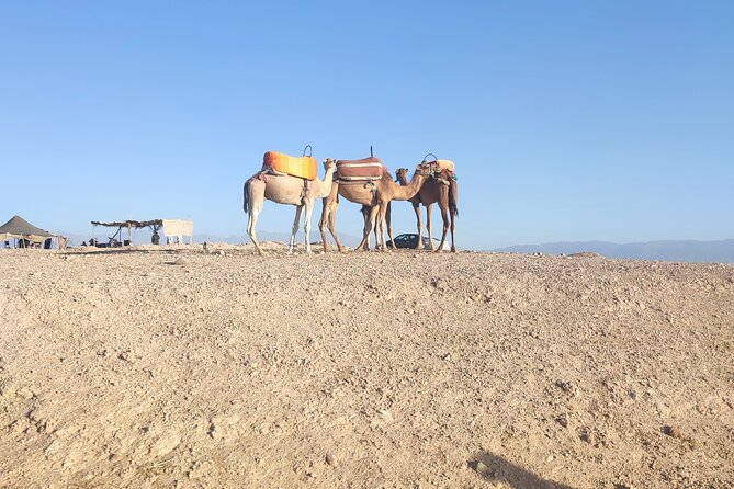 Quad excursion to the Agafay desert near Marrakech - Stop in Agafay: quad riding at sunset