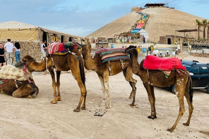 Quad excursion to the Agafay desert near Marrakech - The mint tea stop in a nomadic tent, plus a garden pause