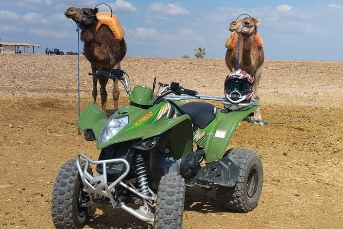 Quad in the Palmeraie of Marrakech - What a 2-hour quad session really gives you
