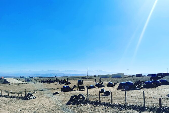 Quad Ride In The Agafay Desert - Who This Quad Ride Is Best For, and Who Should Think Twice