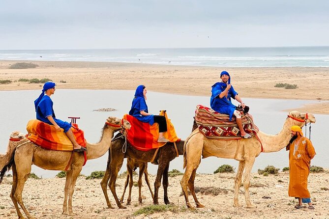 Safari Camel Ride in Banana Beach from Agadir - Getting to Ranch Tamri: the ride out of Agadir