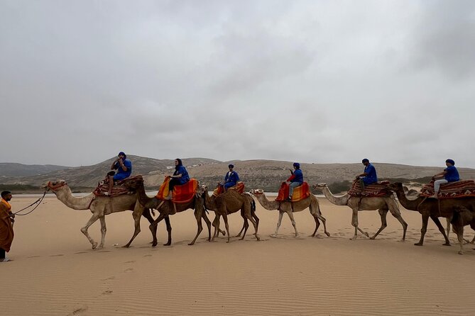 Safari Camel Ride in Banana Beach from Agadir - Tamri Beach atmosphere: why the destination part feels worth it