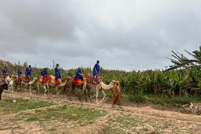 Safari Camel Ride in Banana Beach from Agadir - Food, tea, and what is included versus not