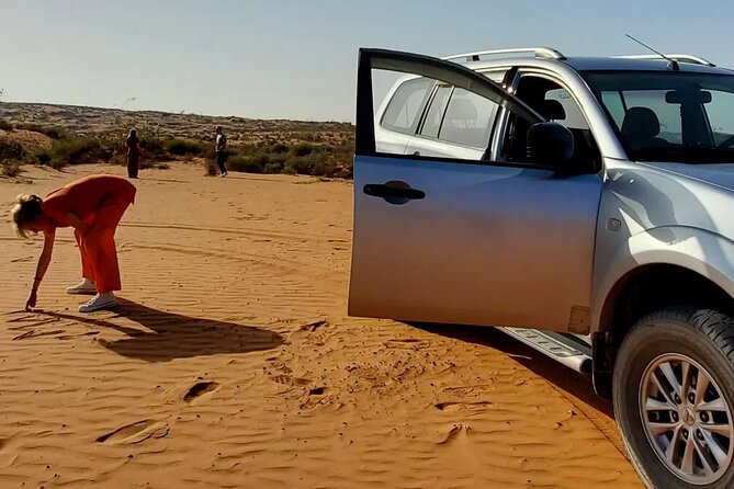Sahara Day Trip from Agadir - Wild beach first, then Sousse valley glimpses of Berber life