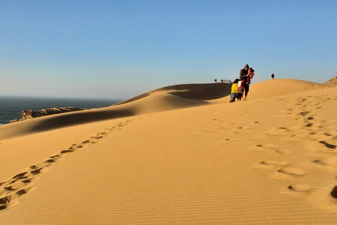 Sahara desert & paradise trip in agadir with lunch and camel ride - Key Takeaways Before You Go