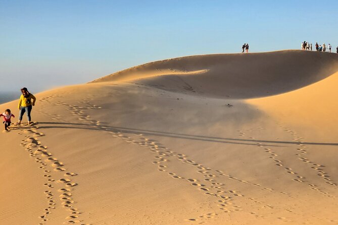 Sahara desert & paradise trip in agadir with lunch and camel ride - Price and Logistics From Agadir (What You’re Paying For)