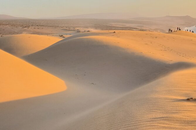 Sahara desert & paradise trip in agadir with lunch and camel ride - Alma Stop: Women’s Argan Oil Cooperative and Botanical Garden Views