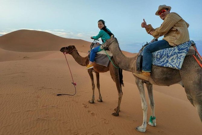 Sahara Desert Trip - 2 night 3 days - Fes to Marrakech OR Marrakech to Fes - Rissani souk, fossils in Erfoud, and the Todra Gorge wow factor