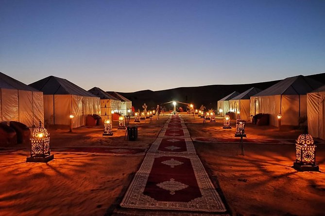 Sahara Desert Trip - 2 night 3 days - Fes to Marrakech OR Marrakech to Fes - Cedar forest to Azrou monkeys: the quick nature reset