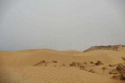 Sandboarding guided experience from Agadir