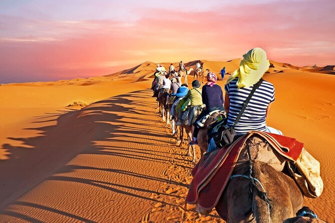 Shared Fez Sahara Group Tour for 3 days and 2 nights - Should you book this Fez to Merzouga shared Sahara tour?