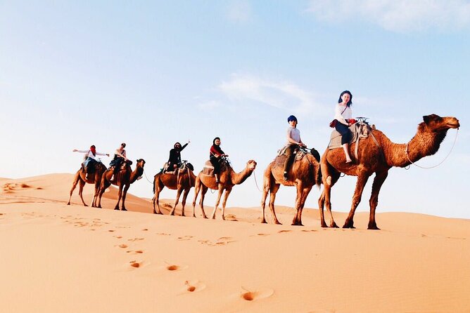 Shared Group 3 Days/2Nights: Fez to Marrakech Sahara Tour - Key things to love on this Fez to Marrakech Sahara Tour