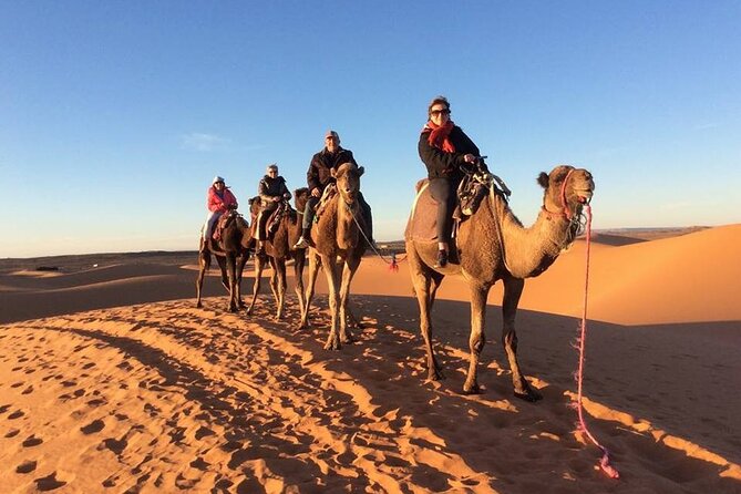 Shared Group 3 Days/2Nights: Fez to Marrakech Sahara Tour - Ouarzazate day: Todra Gorge, Boumalne-Dadès, and the 1000 kasbahs valley