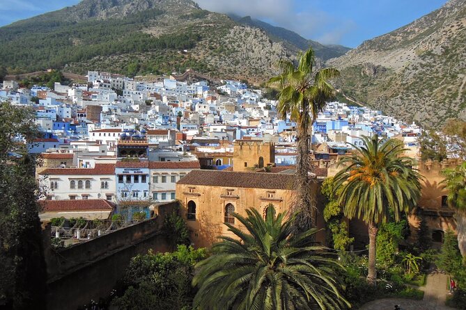 Shared Group Chefchaouen Day Trip from Fez - Price and Value: Why About $36.06 Works Here