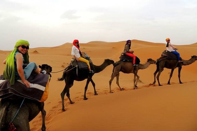 Shared group Fez to Fez Sahara tour 2Days/1Night - The 7:30 am start from Fez, and why the Middle Atlas stops matter
