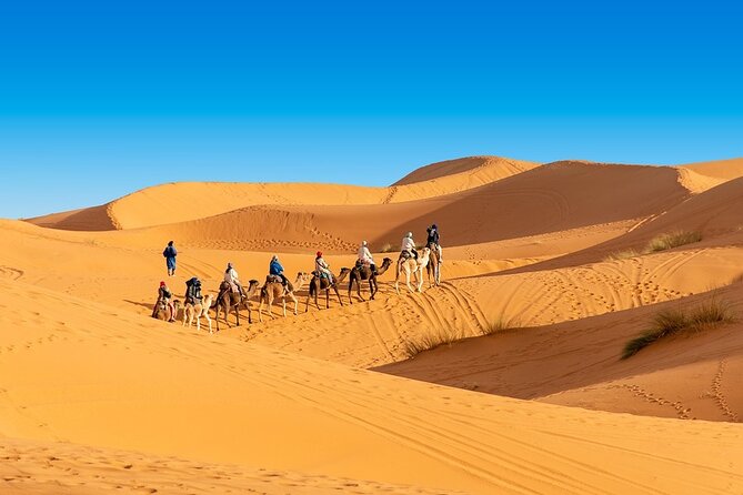 Shared group Fez to Fez Sahara tour 2Days/1Night - Berber camp dinner, drumming, and the starry-sky payoff