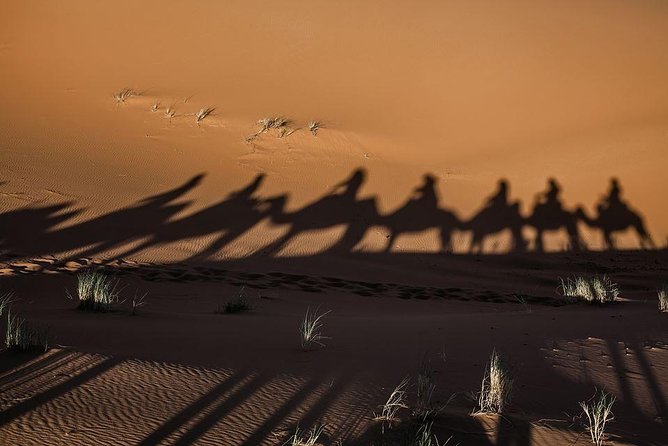 shared group Fez To Fez via Merzouga Desert Tour 2 Days/ 1 Night - Fez to Fez via Merzouga: what this trip is really like