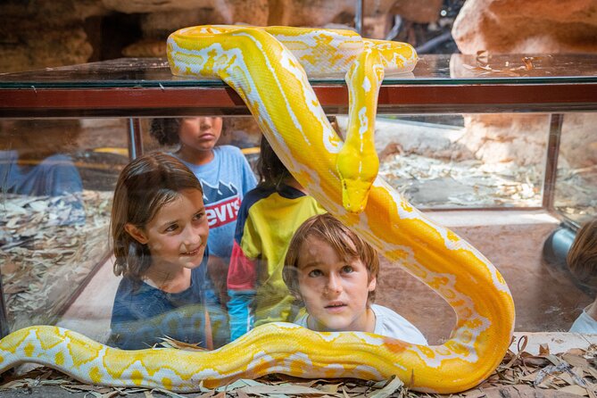 Skip the Line Ticket to Crocoparc with Optional Transfert - Tropical Garden and Cactus Garden: where iguanas and tortoises steal the show