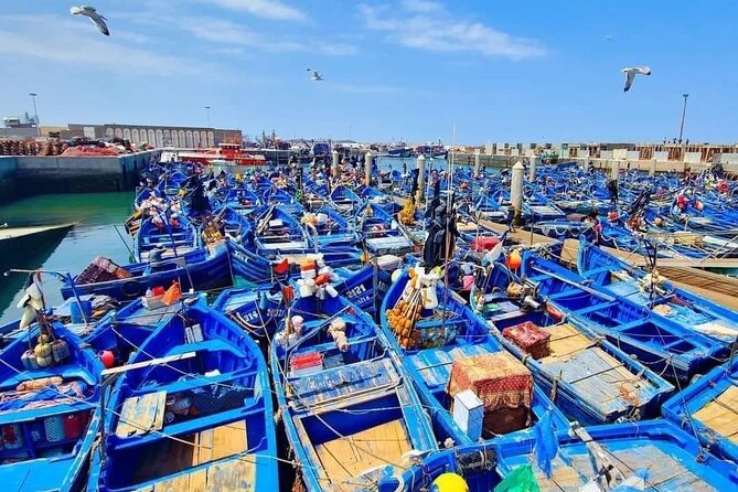 Small Group Essaouira Day Trip From Agadir with Guide - Key highlights you’ll feel on the ground