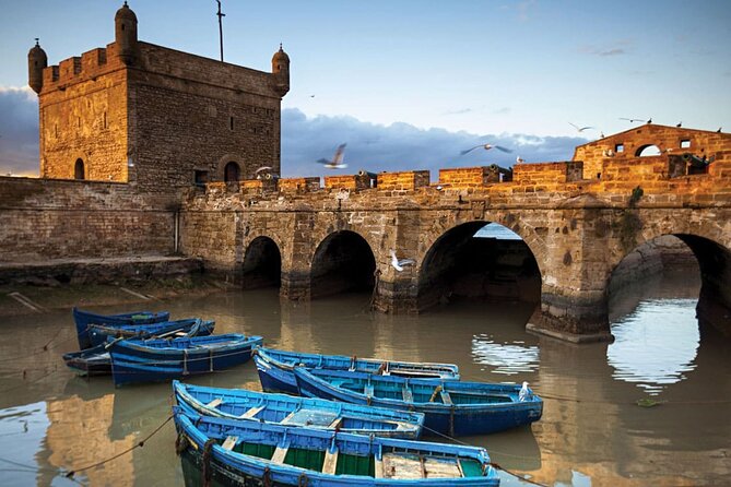 Small Group Essaouira Day Trip From Agadir with Guide - Free time in Essaouira, what to do when lunch is on you