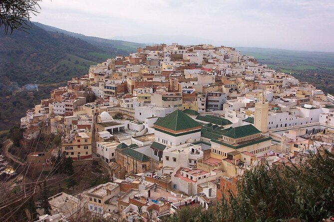 Small Group: From Fez to Volubilis -Mouly Idriss and Meknes day trip - Meeting in Fez, then getting out of town smoothly