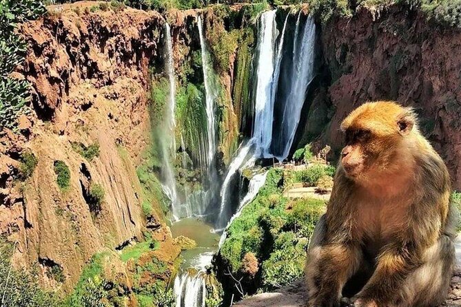 Small group Ouzoud Waterfall Guided Tour Boat Ride from Marrakech - Lunch and the monkey factor near the water