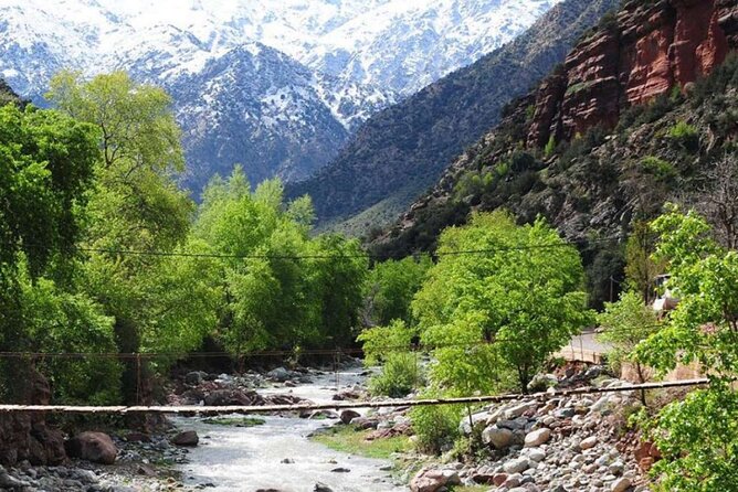 Small group To Atlas Mountains and Ourika valley From Marrakech - Food and timing: lunch by the river, and how to plan for it