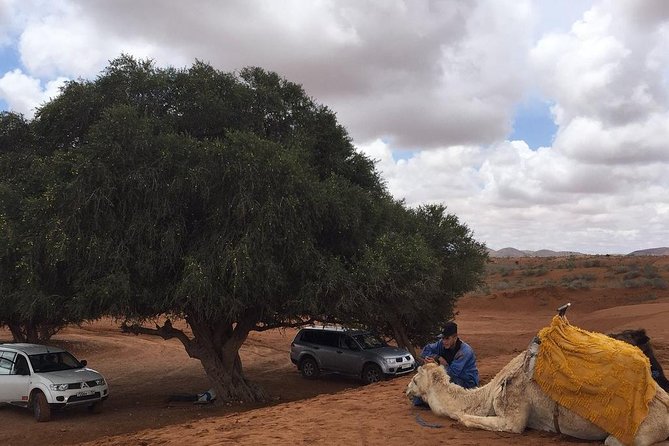 SMALL SAHARA & SILVER CITY- MASSA & TIZNIT IN 4x4 WITH LUNCH IN BERBER STYLE - From Agadir: a full day that mixes sea coast and desert dunes