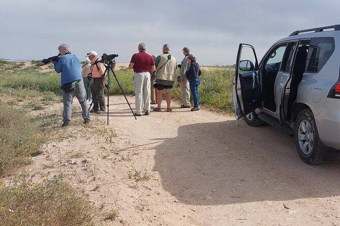 Souss Massa National Park Half Day Trip from Agadir - Key things to know before you go