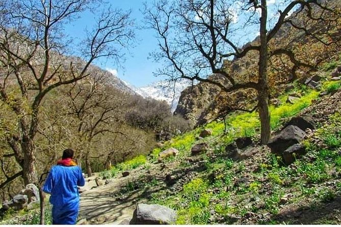 Summiting The Atlas Mountains, Day Hike & Trek From Marrakech - From Marrakech pickup to Imlil Valley: the drive that sets the tone
