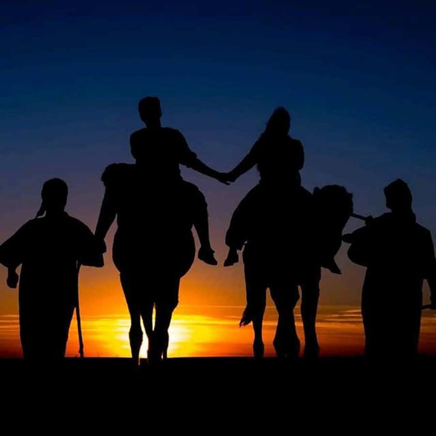 Sun set camel ride in palmerai of Marrakesh - Sunset Camel Ride in the Palmeraie: What the Evening Actually Looks Like