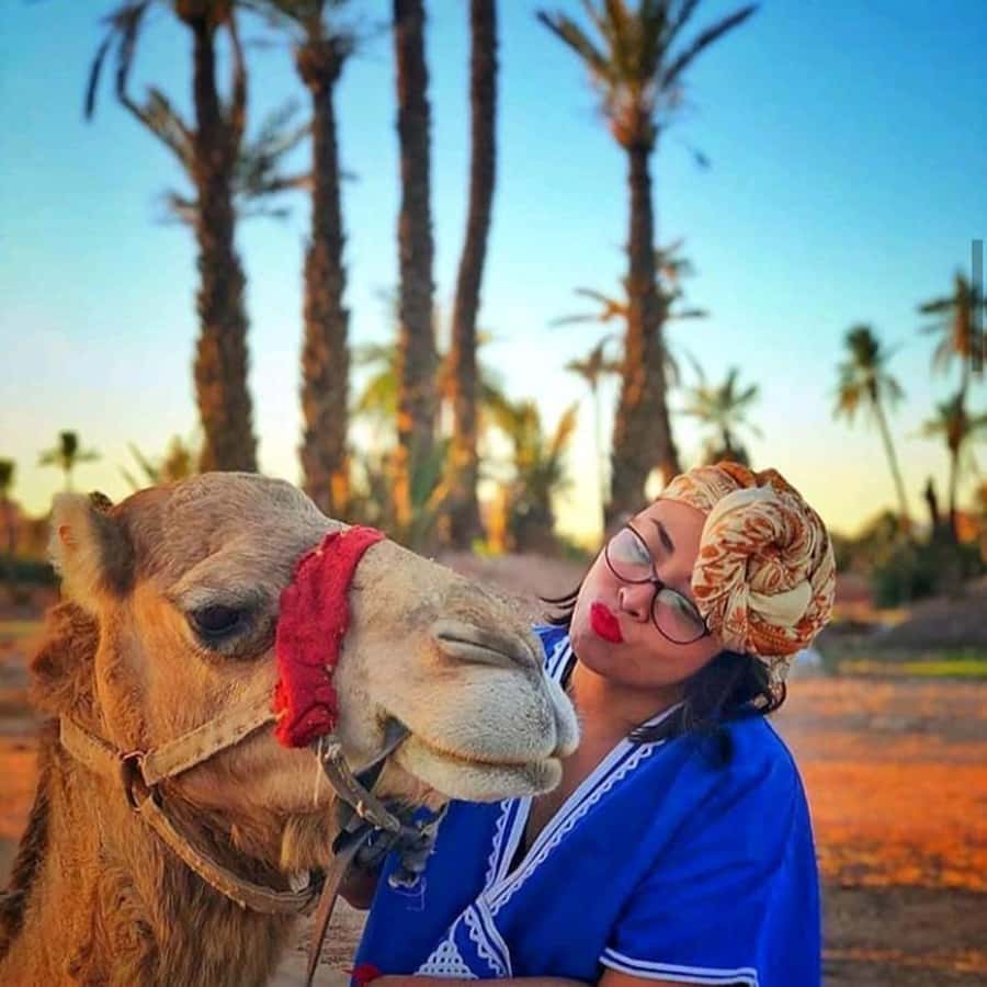 Sun set camel ride in palmerai of Marrakesh - From Your Hotel to the Palmeraie: Logistics That Keep It Easy