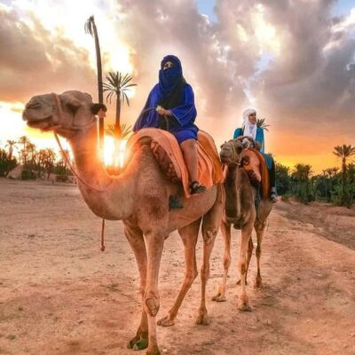 Sun set camel ride in palmerai of Marrakesh