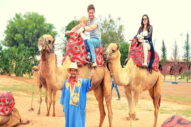 Sunset camel ride and barbecue dinner in Agadir - Key highlights at a glance