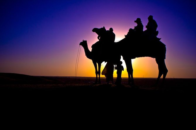 Sunset Camel Ride in Agadir or Taghazout With Transfers - At the ranch: choosing your camel and getting settled