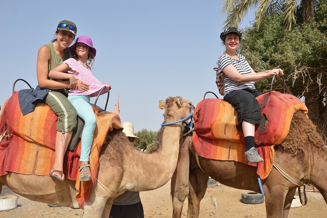Sunset Camel Ride in Agadir or Taghazout With Transfers - Price and value: what you really pay for