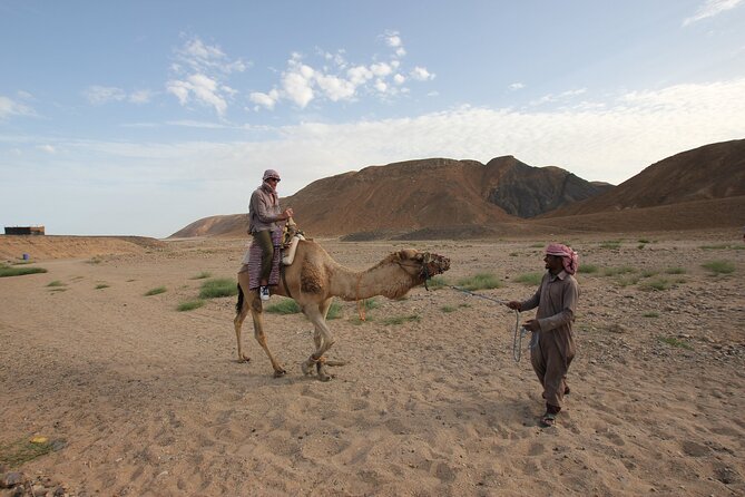 Sunset Camel Ride in Agadir or Taghazout With Transfers - Should you book? My straight answer