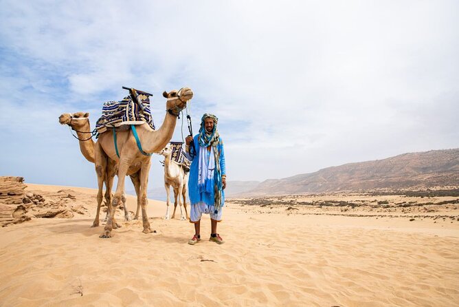 Sunset Camel Ride in Agadir with Dinner in Habitant House - Key things to know before you go