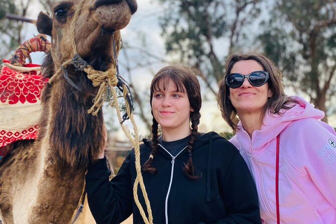 Sunset Camel Ride in Agadir with Dinner in Habitant House - Price and value: what $29.04 gives you for a 2-hour evening