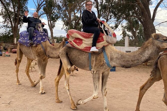 Sunset Camel Ride in Agadir with Dinner in Habitant House - Who should book this sunset camel ride with dinner