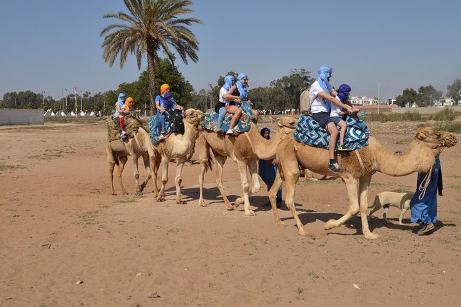 Sunset camel ride in Agadir with transport, tea and cakes. - Key Things I’d Bet You’ll Care About