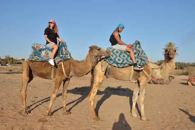 Sunset camel ride in Agadir with transport, tea and cakes. - Getting There: A Simple Pickup, Then Straight to Ranch Life