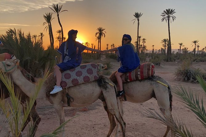 Sunset Camel Ride in the Palm Grove of Marrakech - The Palmeraie at Sunset: What This Tour Really Feels Like