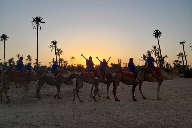 Sunset Camel Ride in the Palm Grove of Marrakech - The Berber House Stop: Mint Tea, Snacks, and Real Conversation
